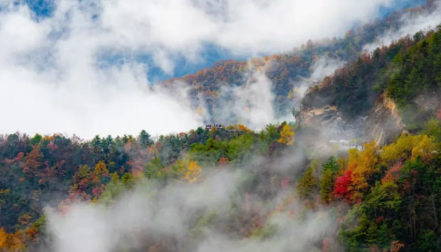 我们的“十四五”丨绘就美丽重庆（城口县）