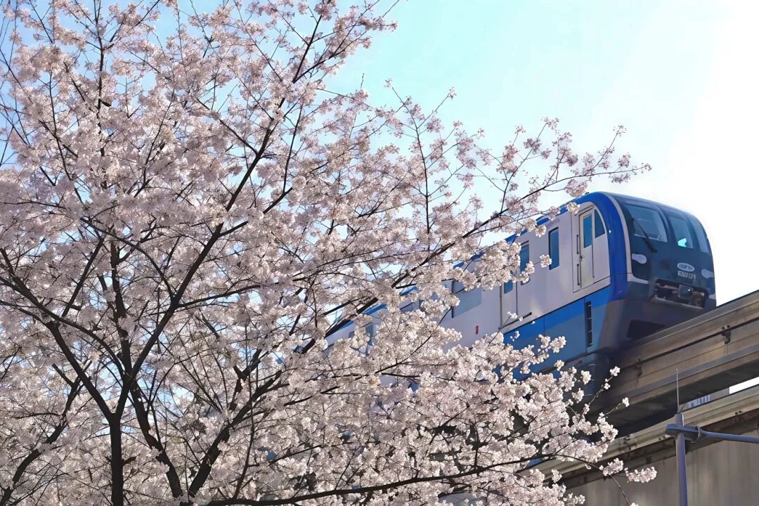 立春丨当两江新区的春天遇到古诗词，绝美！